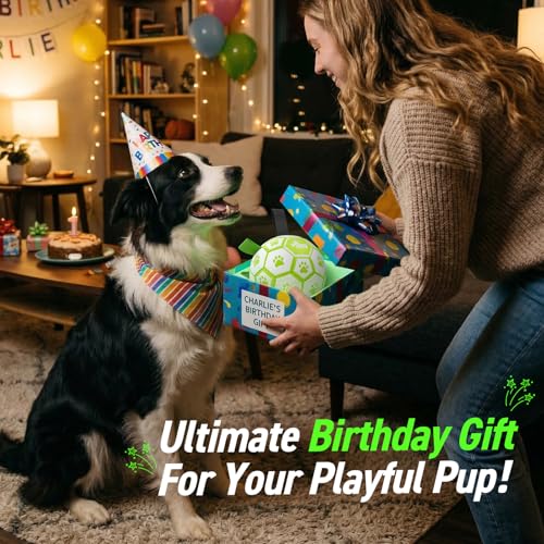 Glow in The Dark Dog Toys Soccer Ball with Straps (Glow in the Dark / 6 Inch)