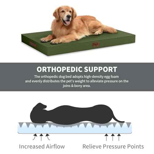 Waterproof Orthopedic Dog Crate Bed for Small Dogs & Cats (Amy Green / 23.0"L x 17.0"W x 2.5"Th)