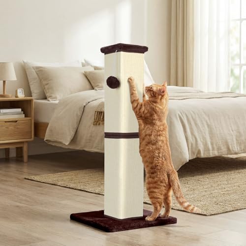 Cat Scratching Post for Indoor Cat (Beige)