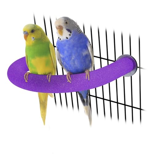 U Shaped Parrot Perch (Small / Purple)
