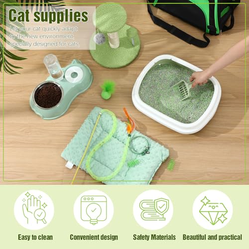 10 Pcs Kitten Starter Kit for Indoor (Classic / Medium / Green)