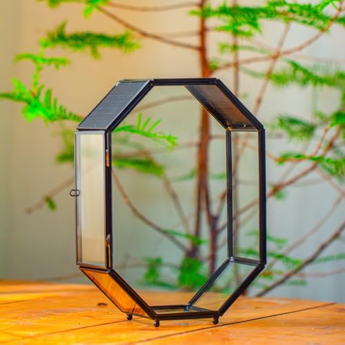 Glass Enclosure Terrarium with Mesh and Door for Spiders (6.2 x 3.1 x 8.7 inches)