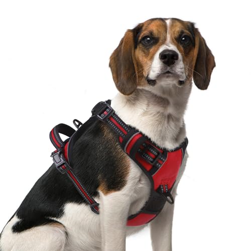 No Pull Dog Harness Medium Sized (Red / Medium)