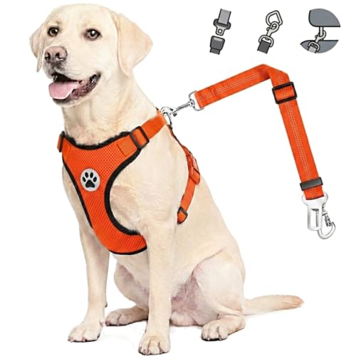 Dog Car Harness Seat Belt (Large / ·Orange)
