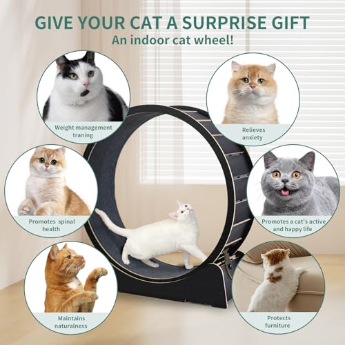 Large Cat Exercise Wheel 40 Inch Treadmill Exerciser for Indoor Cats Love Kitty Running Toy Walking Training for Fitness Weight Loss Device Suitable for Most Cats Physical Exercise (Black)
