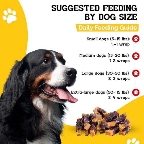 Dog Treats Sweet Potato Chews 2oz Resealable Bag (2 Ounce (Pack of 12))