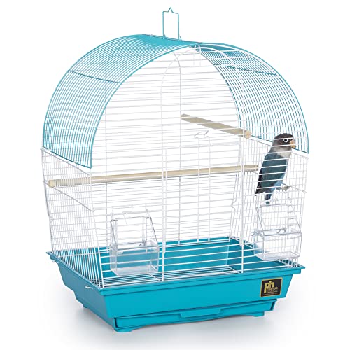 South Beach Dome Top Bird Cage (Dome - Teal / 10.6"L x 0.6"W x 18.1"H)
