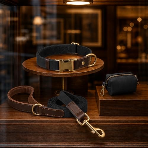 PU Leather Dog Collar for Medium Dogs (Black / M: Neck 14-19", Width ¾")