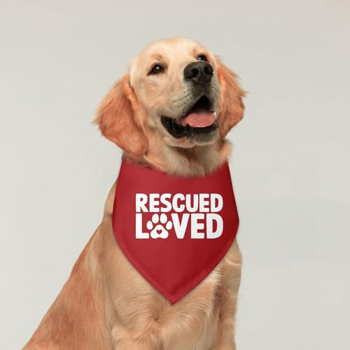 Rescued Loved Dog Bandana Adopt Me Bandanas for Dogs Adoption Gotcha Day Adopted Baby Dog Announcement Adopt Me Pets Scarf for Small Medium Dogs & Cats (V)