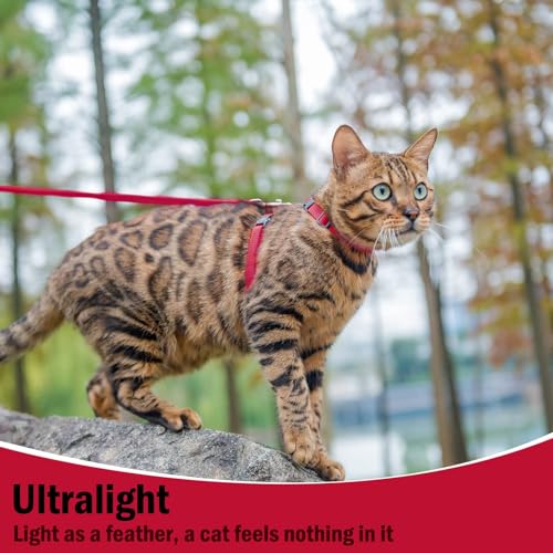 Adjustable Cat Harness and Leash Set Escape Proof Kitten Strap Collar for Walking Travel (Medium / Red)