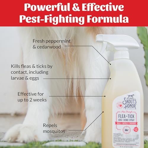 Natural Flea and Tick Dog and Home Spray (Flea & Tick Home Spray)