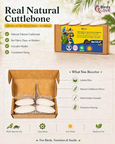 3.5 4″ Cuttlebone for Birds (4 Count (Pack of 1))