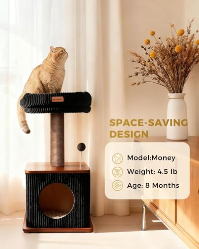 Small Cat Tree for Indoor Kittens (Walnut Finish / Small)