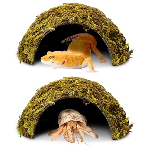 2 Pack Natural Green Moss Hide Caves Coconut Reptile Hideouts Hamster Climbing Toys Gecko Habitat Decor Lizard Shell Shelter for Snake Tarantulas Turtle Chameleon (Moss Surface / 2 PCS)