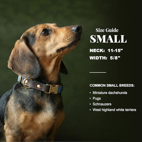 PU Leather Dog Collar for Small Dogs Puppy (Denim Blue / S: Neck 11-15", Width ⅝")