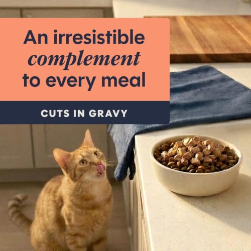 Healthy Cravings Wet Cat Toppers (3 Ounce (Pack of 24))