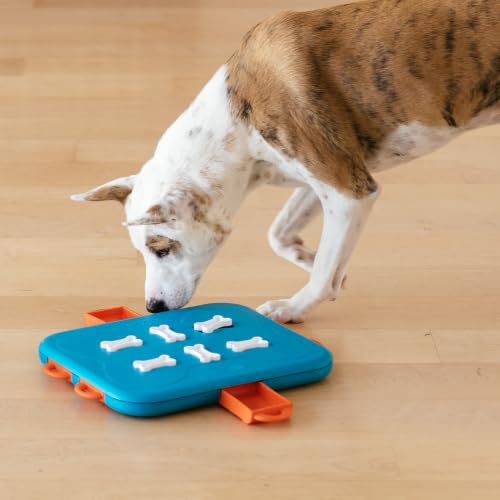 Nina Ottosson Dog Casino Dog Toy Treat Puzzle