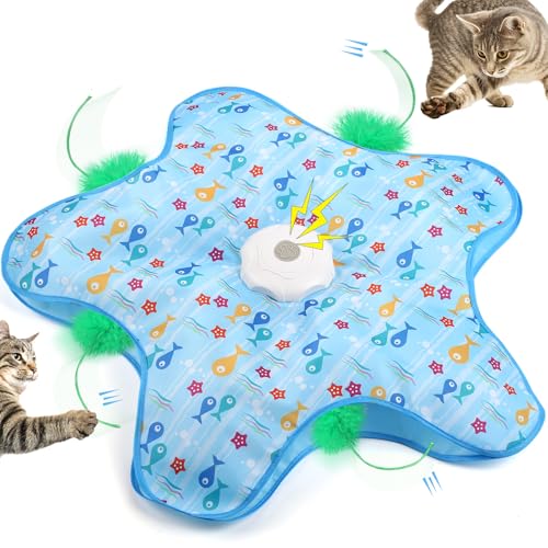 Hide-and-Seek Cat Toy Interactive, Rechargeable, Blue