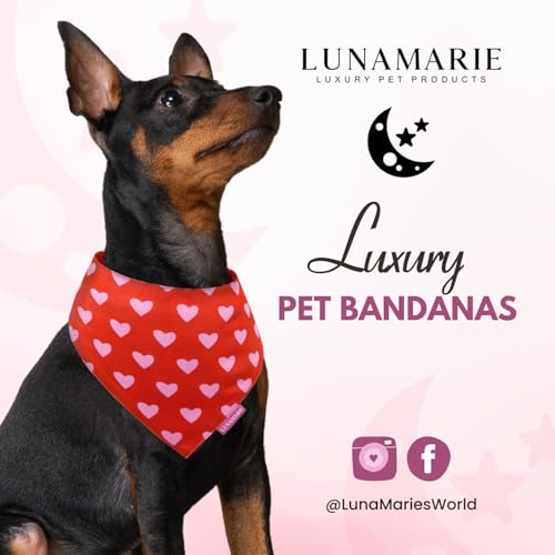 Luxury Pet Birthday Bandanas (Evie Hearts / Large)