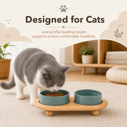 Raised Cat Bowl 5.1” Elevated Ceramic Cat Food and Water Bowl Set (Dark Green)
