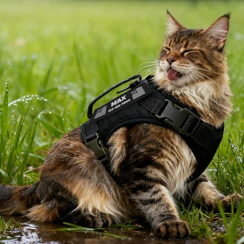 Tactical Cat Harness Black Custom Patch Escape Proof 12