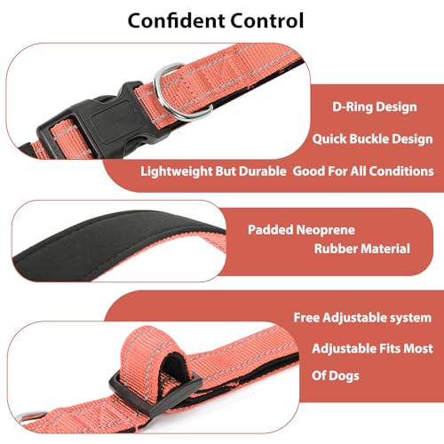 Reflective Dog Collar (Coral / XS:width 5/8"neck 8-10.5")