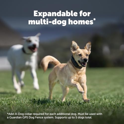 Guardian GPS Dog Fence (Black / Guardian GPS Fence)