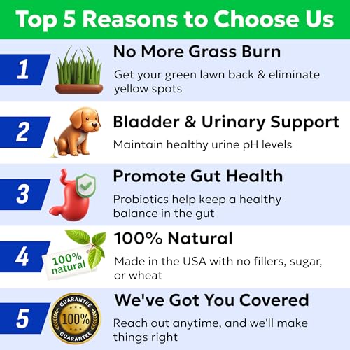 Green Grass Dog Chews (Green Grass / 120ct (Bacon))
