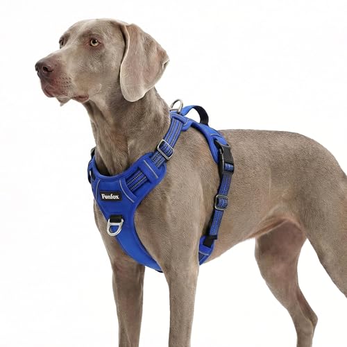 Dog Harness No Pull (Blue / X-Large)