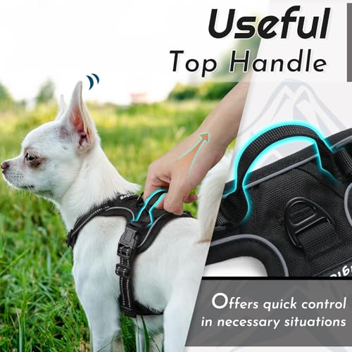 Dog Harness for Small Dogs (X-Small / Black)