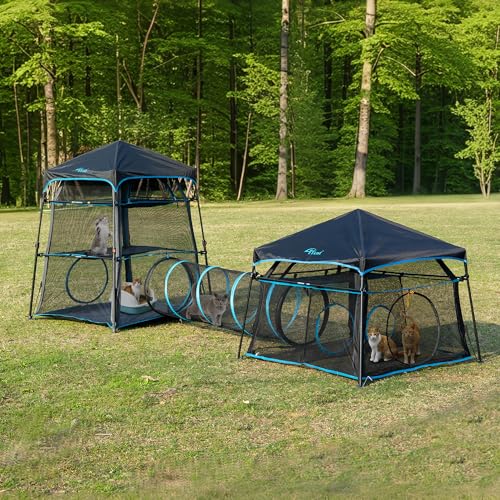Extra Large Catio Outdoor Cat Enclosure 2 (Blue Trim / Two layer)