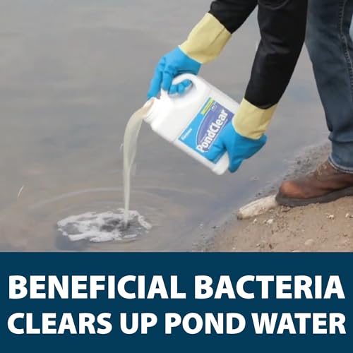 PondClear Liquid Bacteria Water Clarifier for Ponds & Lakes (128 Fluid Ounces)
