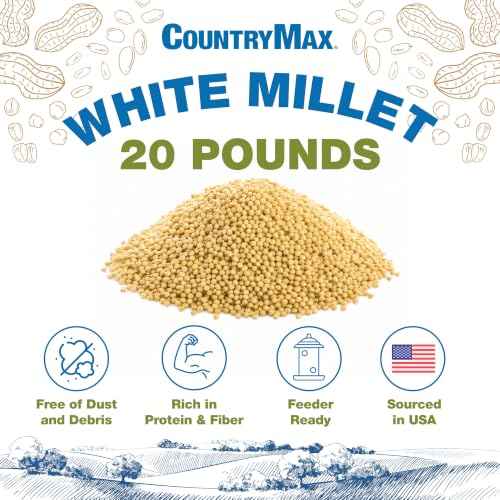 20LB White Proso Millet Bird Seed for Wild Birds & Finches (White Millet / 20 Pound (Pack of 1))