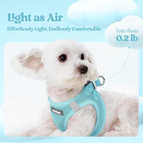 Dog Harness Small Sized and Leash Set (Mint Blue / S (chest: 15.1 - 16.5"))