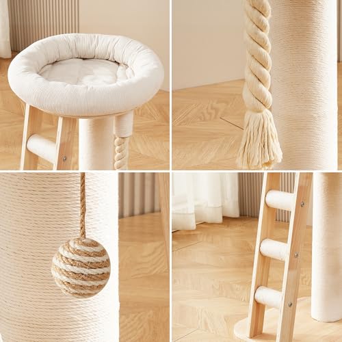 Modern Cat Tree Small Tower with Scratching Post for Indoor (with Ladder)
