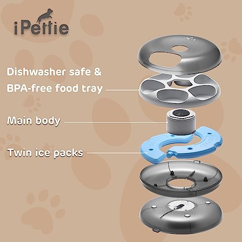 Donut Frost 6 Meal Cordless Automatic Pet Feeder (Classic Black)