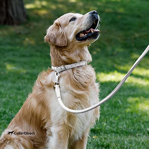 Tangle Free Rolled Leather Dog Collar (White / XS)