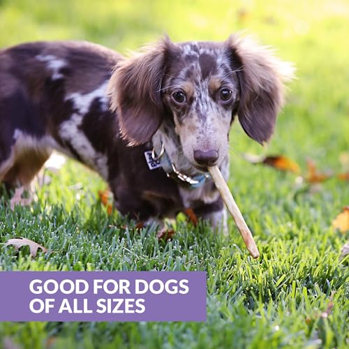 Real Duck Collagen Bully Sticks for Dogs (5.7 Ounce (Pack of 25))
