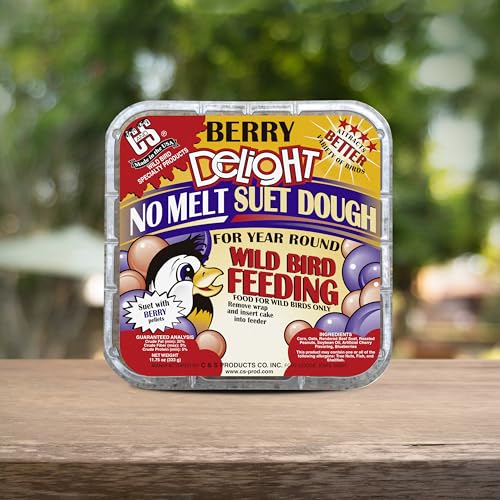 Berry Delight No Melt Suet Dough (1.47 Ounce (Pack of 8) / Berry, 8 Pack)