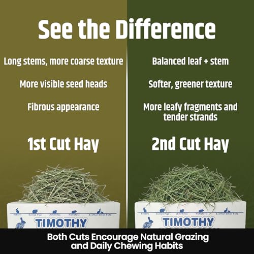 2nd Cutting Timothy Hay for Rabbits (8 Pound (Pack of 1))