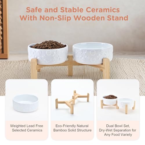 Elevated Dog Bowls Ceramic (5.1 in - 1.7 cups / White - Skull)