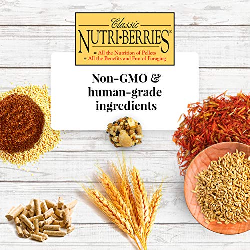 Classic Nutri (10 Ounce (Pack of 1))