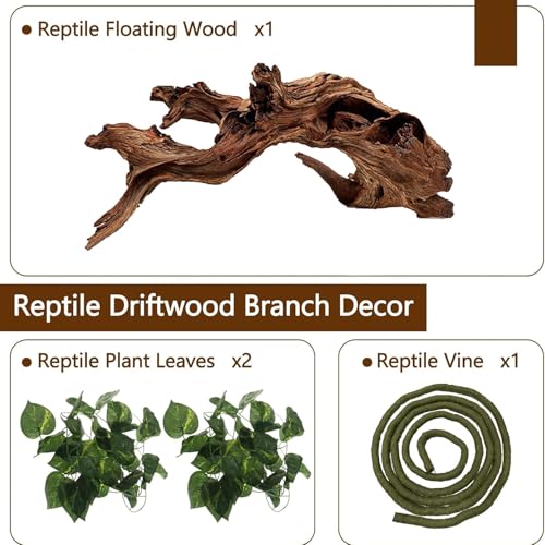 Bearded Dragon Driftwood for Reptile