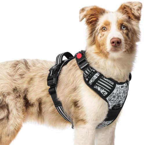 Dog Harness Medium Sized