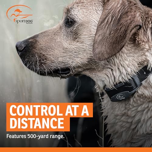 FieldTrainer 425X Remote Trainer (Gun Metal Grey / 1 Dog)