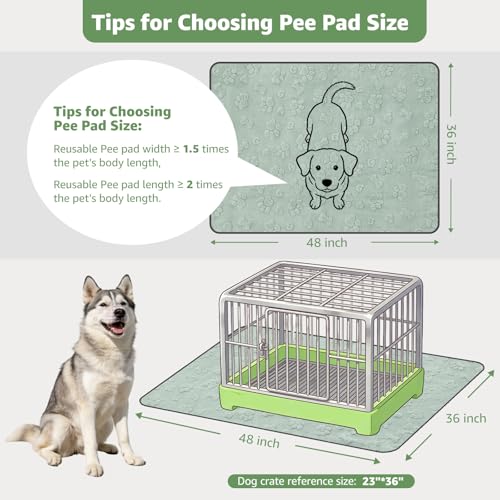 Washable Pee Pads for Dogs (Green Dog Element / 36"x48"(Pack of 2))