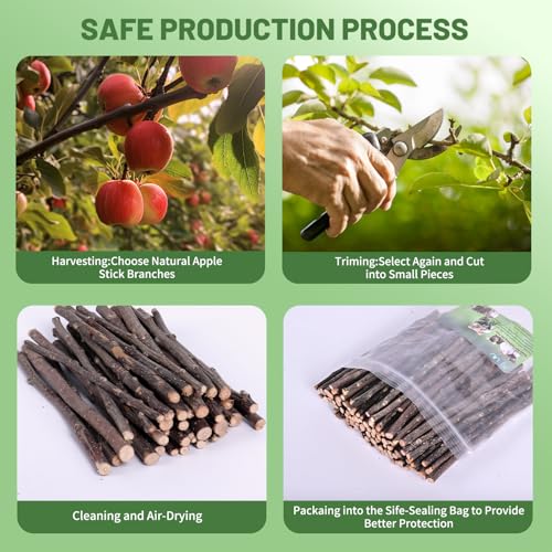 Apple Wood Chew Sticks (10.58 Ounce (Pack of 1))