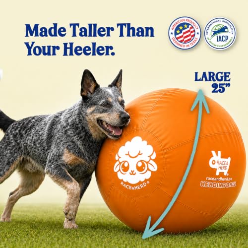 25" Herding Ball for Dogs (Tangerine - L 25" Herding Ball Set / L 25")
