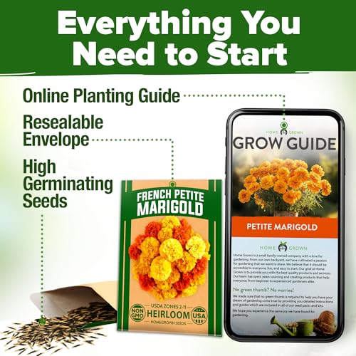 Petite French Marigold Seeds