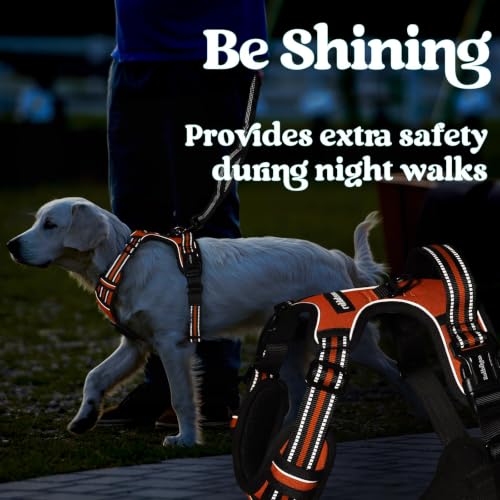 Dog Harness for Large (Large / Orange)